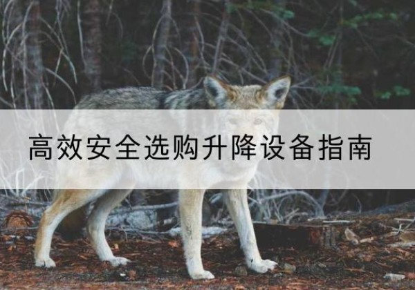 二道升降货梯厂家推荐-*安全选购升降设备指南