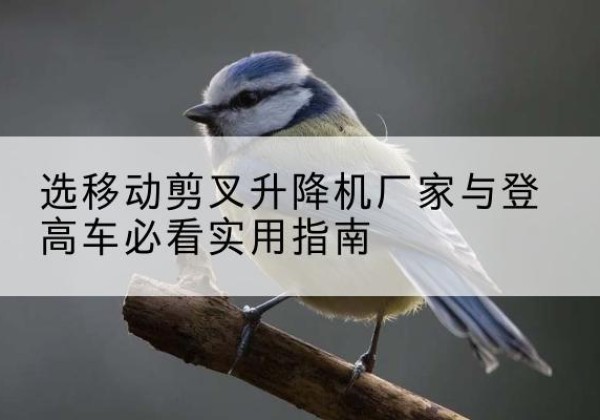 二道电动升降机厂家-选移动剪叉升降机厂家与登高车必看实用指南
