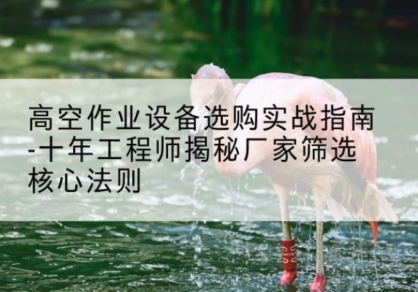 二道剪叉式升降机厂家-高空作业设备选购实战指南-十年工程师揭秘厂家筛选核心法则